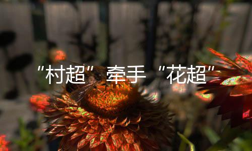 村超党相村队最终2:1获胜