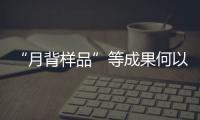 “月背样品”等成果何以入选？专家解读“中国科学十大进展”