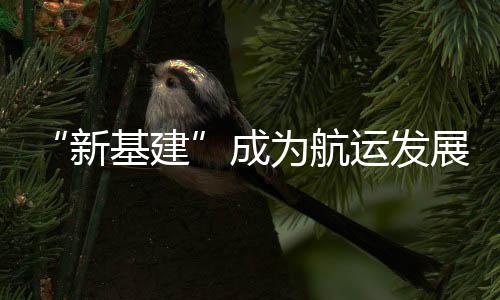 船员数量等指标稳居世界前列