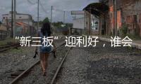 “新三板”迎利好	，谁会是涂料领域蹦出的下一匹“黑马”?