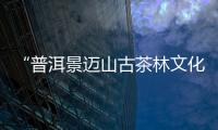 “普洱景迈山古茶林文化景观”
，申遗成功