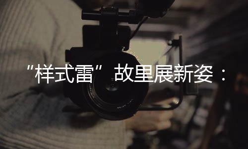 为村集体经济收入提供了保障