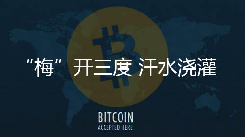 一练就是汗水几个小时