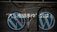 “汽车拖猫事件”后续：三人造谣网暴被行拘