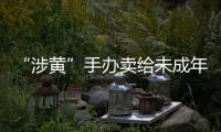 “涉黄”手办卖给未成年人：应对玩具分级管理丨快评