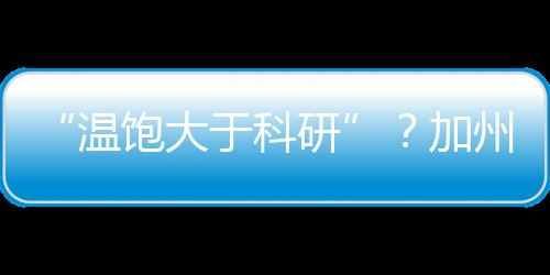 校内游行的科研氛围比较欢快