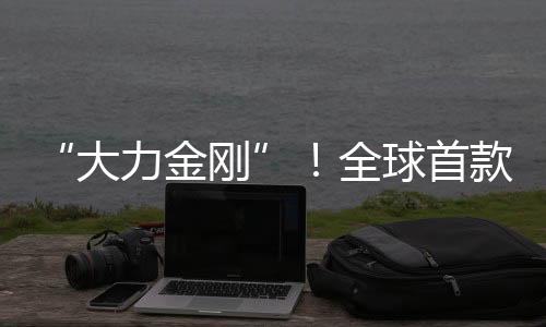这设备也能轻快叉起大石块