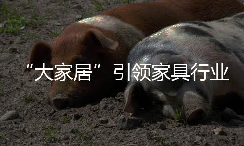 引领对于家具企业来说