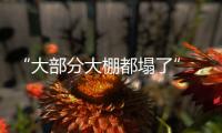 “大部分大棚都塌了”�，湖北农业冻雨后迎大考
