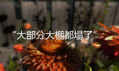 北农”吴向阳叹息道