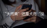 “大而美”还是大而“没”
？