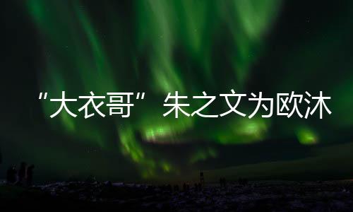 纷纷感念起亲情的大衣哥可贵