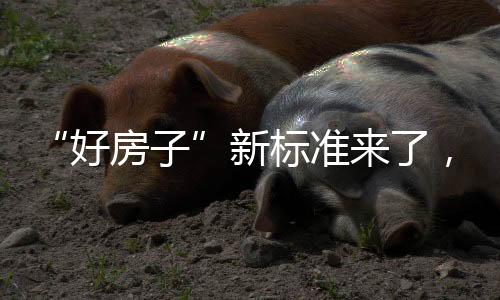 楼板的好房子隔声性能要求