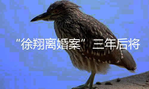 要求得到孩子的徐翔抚养权
