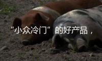 “小众冷门”的好产品，铂英特为您全面剖析无机涂料