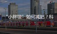 “小胖墩”如何减肥
？科学减重看这里