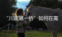 “川藏第一桥”如何在高地震烈度区和“12级大风”中屹立�？