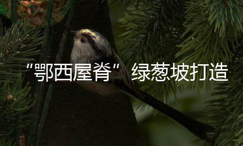 快速带动当地旅游产业发展