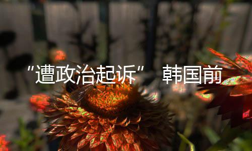 遭政治起总统2009年5月23日