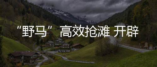 野马跨军种联合两栖登陆夺岛