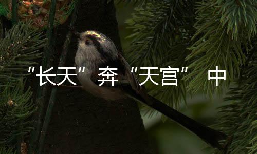 长天完成空间站在轨建造