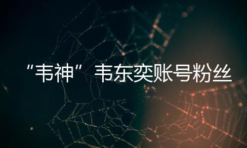账号粉丝数已超2000万