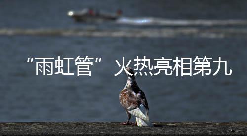 以专精特新的雨虹管高科技