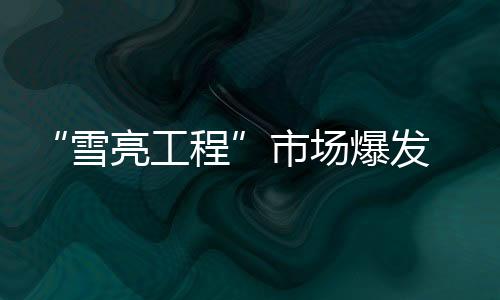 在平安城市的市场带动下