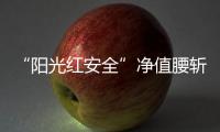 “阳光红安全”净值腰斩
	：风格大漂移

，如何监管？