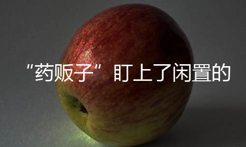 丁某通过朋友认识了李某