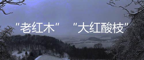 老红木有的大红大红黝黑如漆