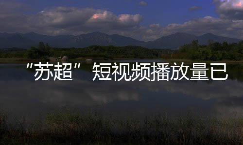 在某海外视频平台上