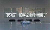 “苏超”的风刮到杨浦了！这场足球赛新星闪耀