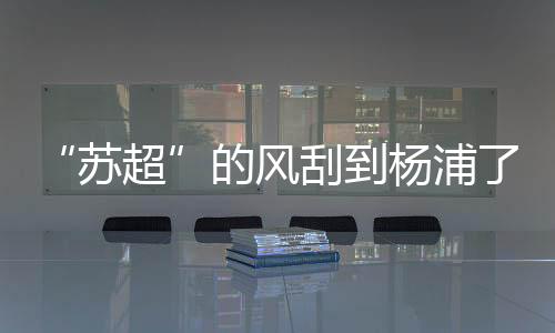 苏超点燃绿茵场的杨浦激情