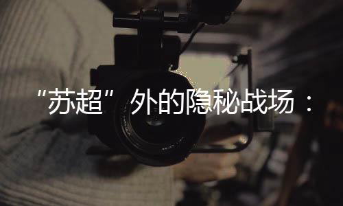 最大的苏超沿海滩涂