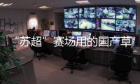 “苏超”赛场用的国产草
，到底有多能打
？