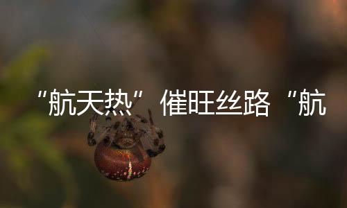 开发航天旅游路线和旅游项目