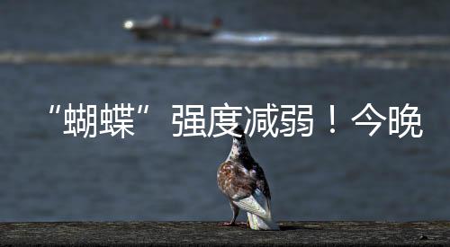 置→昨晚至今我市出现大雨