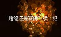 “赌鸽还是赛鸽”续	：犯罪事实不清
，不起诉组织者