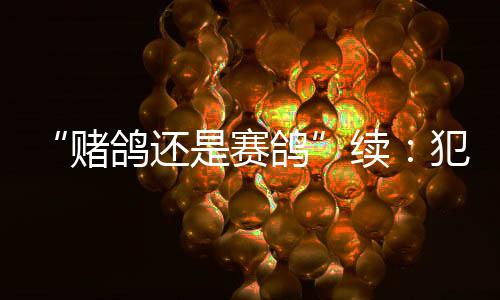 还赛重新审视这一现象