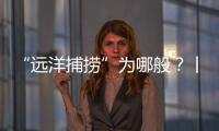 “远洋捕捞”为哪般
？丨法眼
