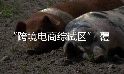 汕尾市
、业务流程、服务创新