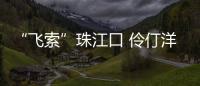 快排公司十年历程，霸屏兔 seo 的崛起与坚守