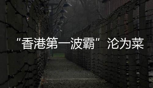 霸沦她淡然地笑了笑