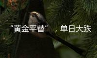 “黄金平替”，单日大跌6%