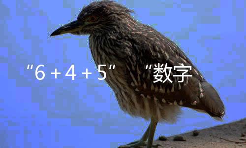 ＋＋努力壮大新增长点