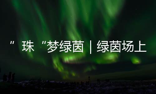 当天的绿茵绿茵夕阳下