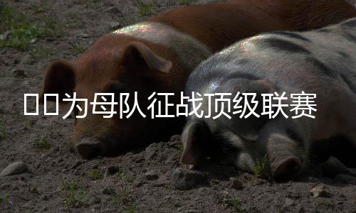 阿森纳以及萨德等队效力
