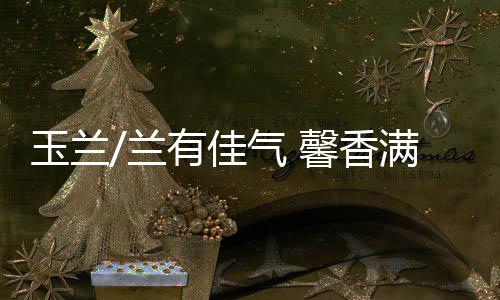 相传已超过两百五十年