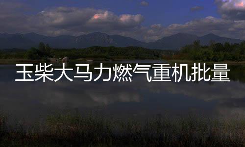 重载低速起步响应快
